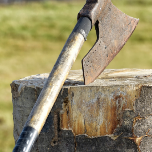 Marketing Judge, Jury & Executioner