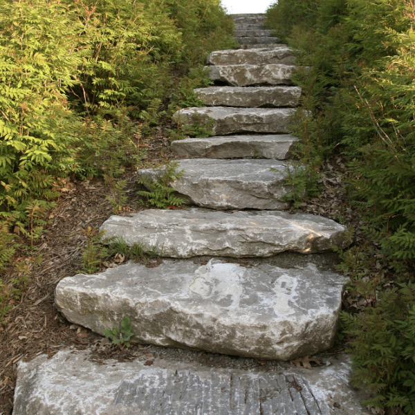 Guarantee the Pathway, Not the Results