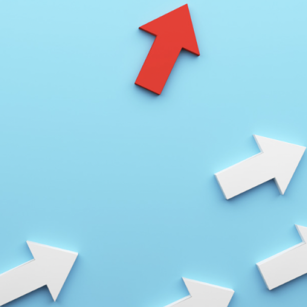 Don’t Make Any Changes for 6-Months