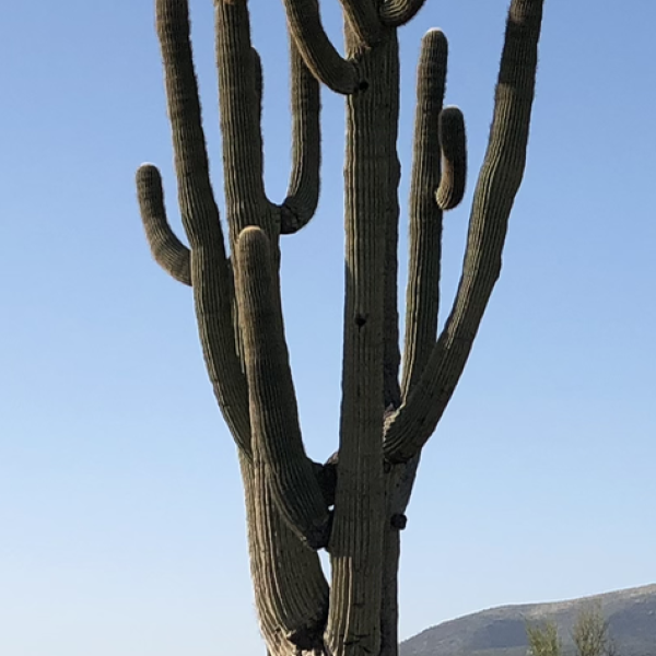 186 – Why Niching Is The Future of Small Business (LIVE) at Business Black Ops, Arizona