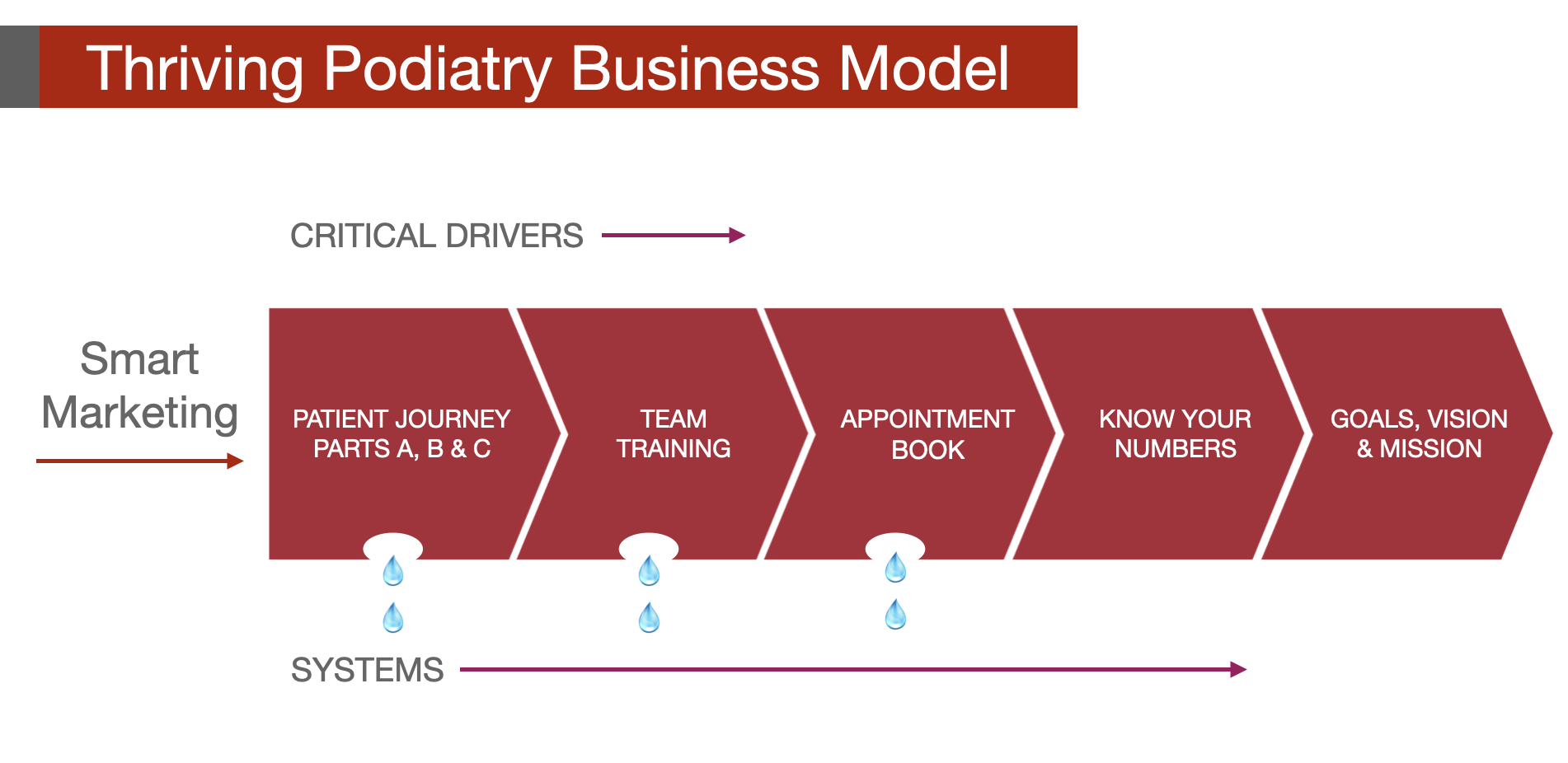 Thriving Podiatry Business Model