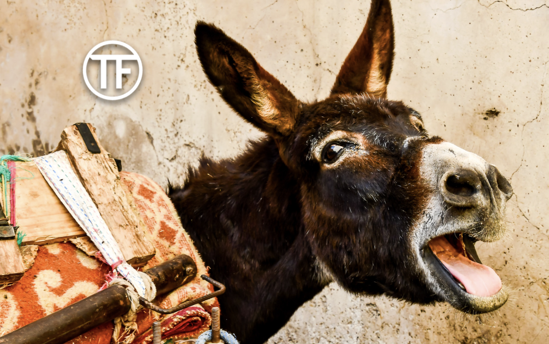 Why Personalised Marketing Beats Every “Done-For-You” Funnel